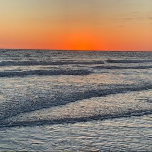 Meet your Posher, Cheyenne